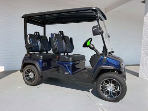 Blue Evolution D5 Lithium Golf Cart Forward Facing 02